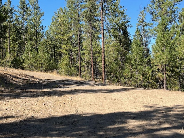 Listing photo 2 for LOT3TOPNOTCH Bob White Ln, Davenport WA 99122