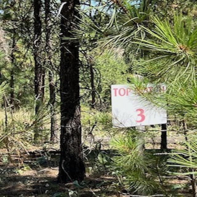 LOT3TOPNOTCH Bob White Ln, Davenport, WA 99122