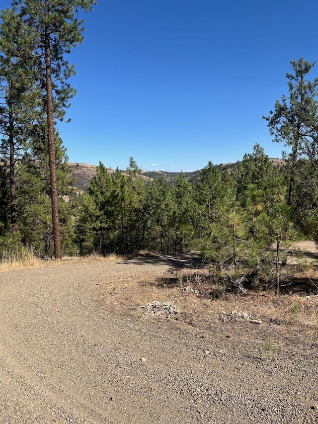 LOT3TOPNOTCH Bob White Ln, Davenport, WA 99122