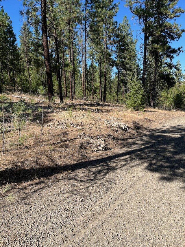 LOT3TOPNOTCH Bob White Ln, Davenport, WA 99122