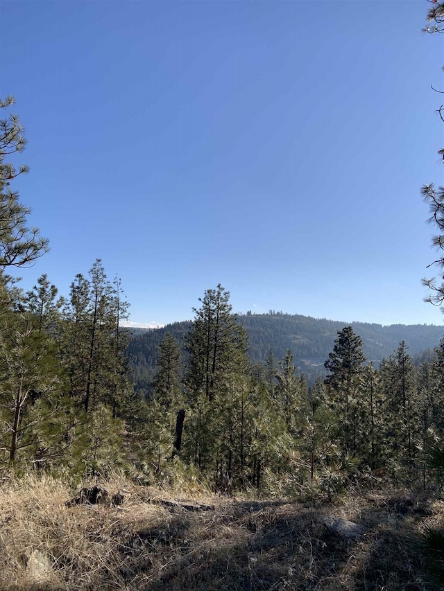 Listing photo 2 for LOT1BLUEJAY Bob White Ln, Davenport WA 99122