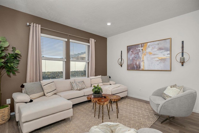 living room with wood-type flooring