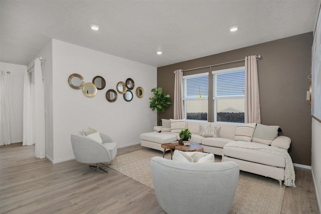 living room featuring light hardwood / wood-style flooring