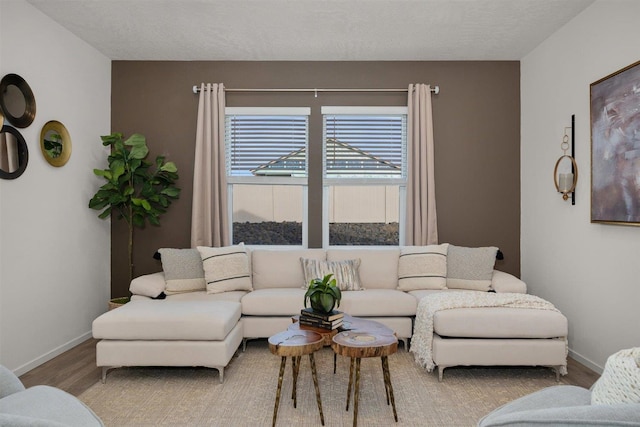 living room featuring a textured ceiling and light hardwood / wood-style flooring