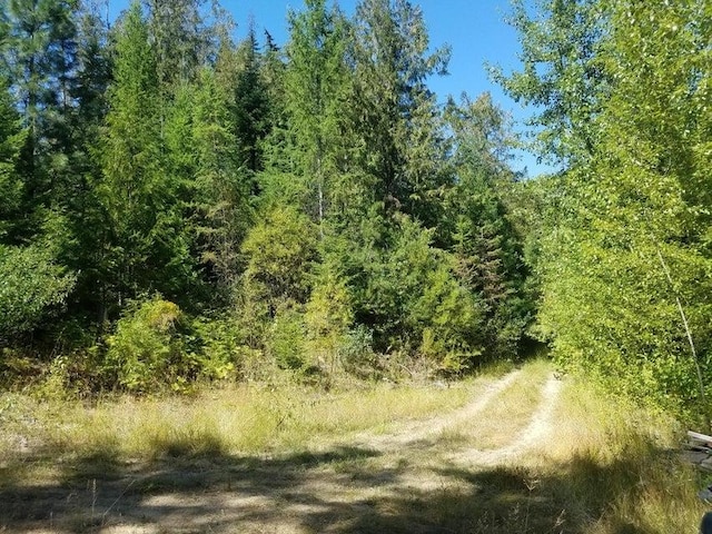 Listing photo 2 for XX Summit Valley Road, Addy WA 99101