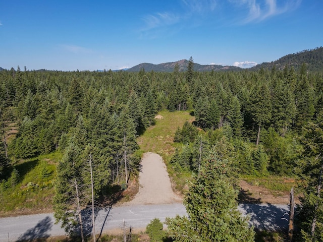 411 Happy Trails Ln, Newport WA, 99156 land for sale