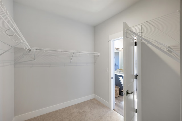 walk in closet featuring light colored carpet