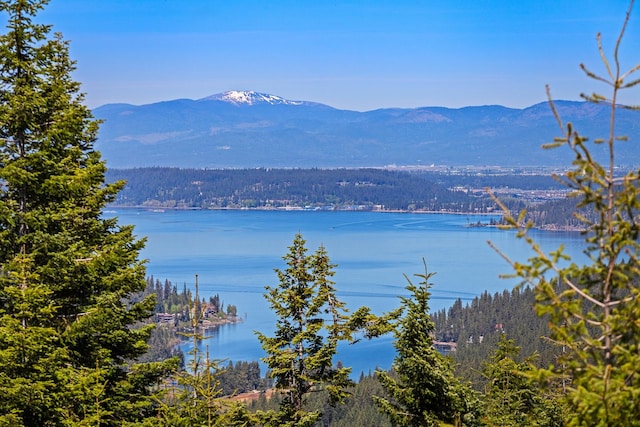 property view of water featuring a mountain view