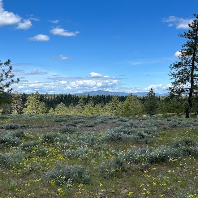 31025 Ruffed Grouse E Dr, Davenport WA, 99122 land for sale