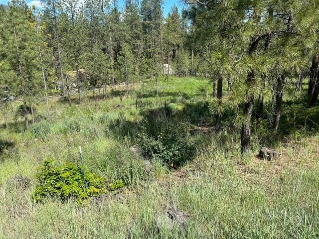 1181-1179 Fumi Cir, Kettle Falls WA, 99141 land for sale