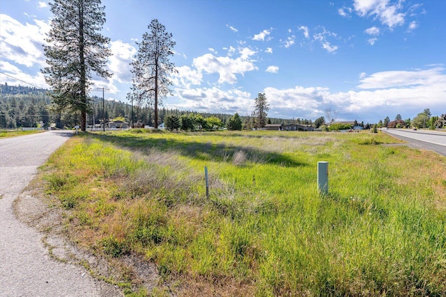 2714 S Dishman-Mica Rd, Spokane Valley, WA 99206 - photo 11