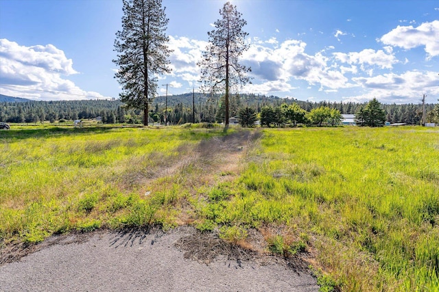 2714 S Dishman-Mica Rd, Spokane Valley, WA 99206 - photo 12