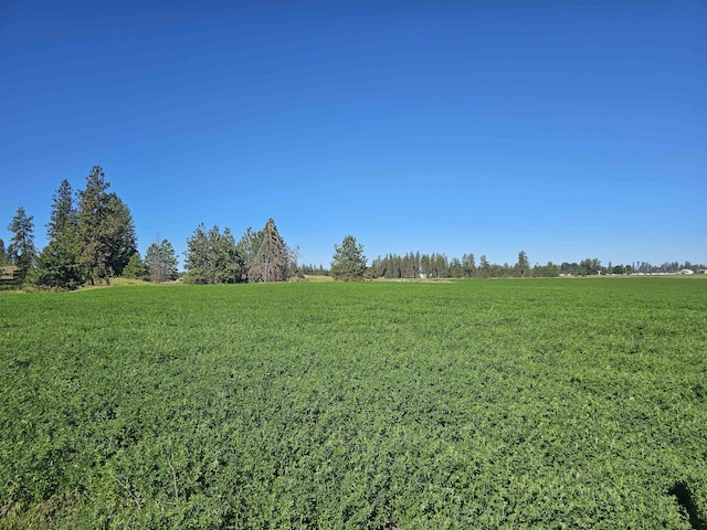 47XX S Abbott Rd, Spokane WA, 99224 land for sale