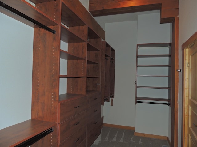 walk in closet with dark carpet