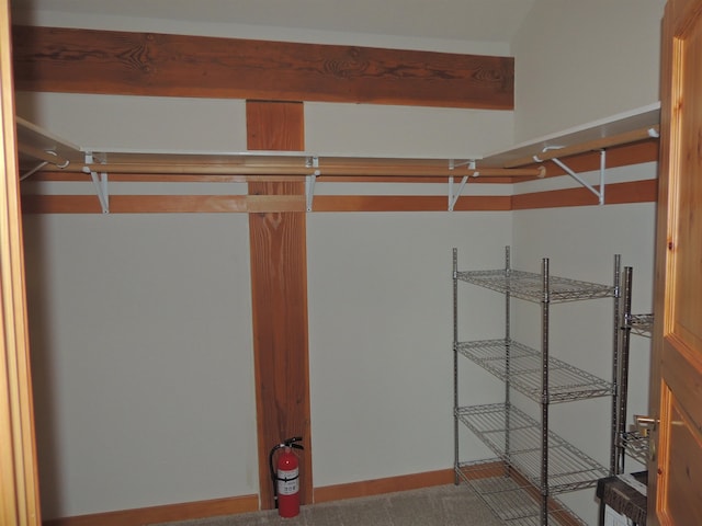 walk in closet with carpet floors