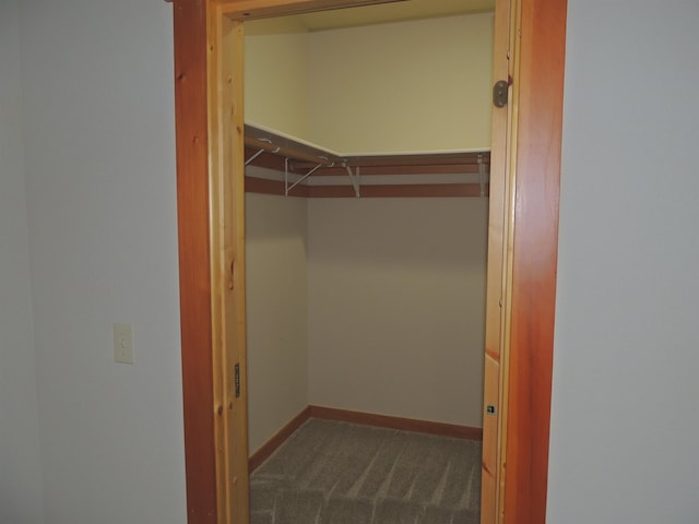 walk in closet featuring carpet