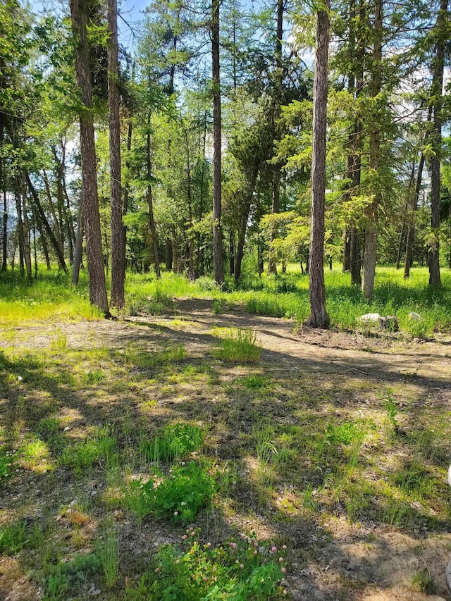 5166 Hattery Owens Rd Unit Parcel A, Deer Park, WA 99006 - photo 15