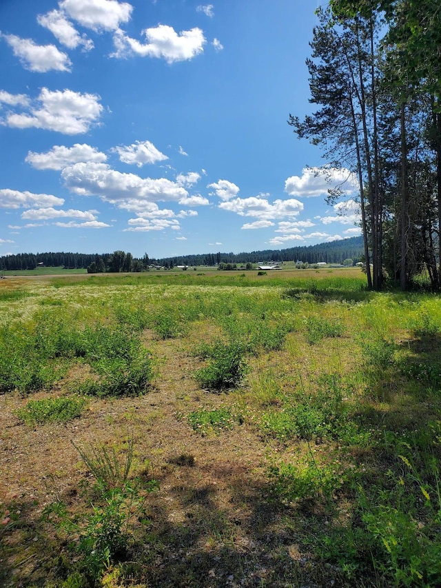 5166 Hattery Owens Rd Unit Parcel A, Deer Park, WA 99006 - photo 18