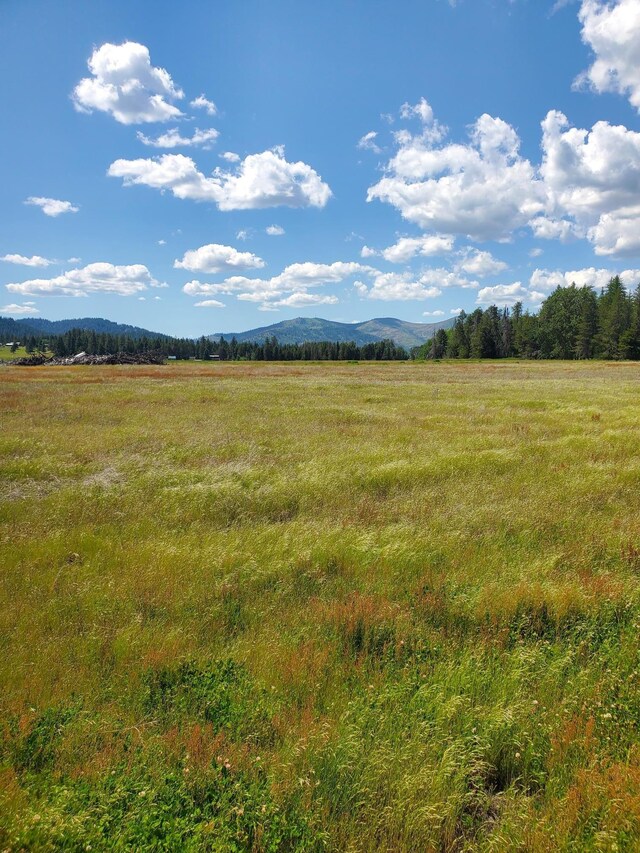 5166 Hattery Owens Rd Unit Parcel A, Deer Park, WA 99006 - photo 4