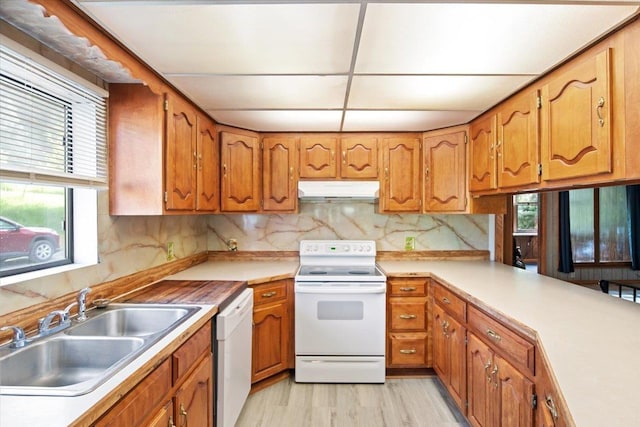 kitchen featuring backsplash, sink, light hardwood / wood-style floors, and white appliances