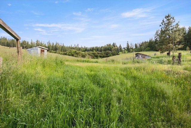 view of local wilderness with a rural view