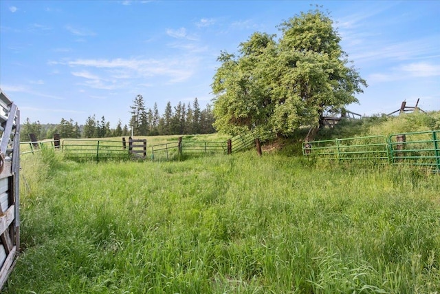 view of yard with a rural view