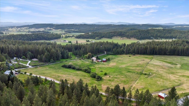 bird's eye view with a mountain view