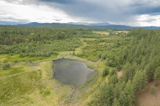 4110 Cemetery Rd, Springdale WA, 99137 land for sale