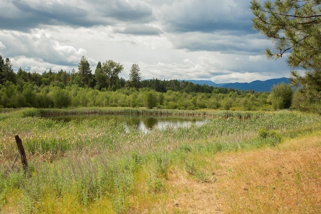 4110 Cemetery Rd, Springdale, WA 99137 - photo 2