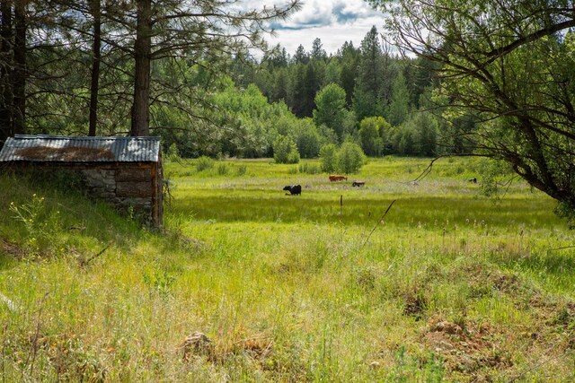 4110 Cemetery Rd, Springdale, WA 99137