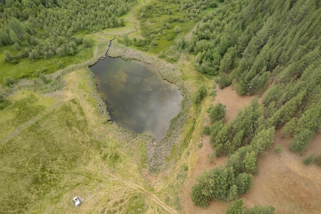 4110 Cemetery Rd, Springdale, WA 99137 - photo 3