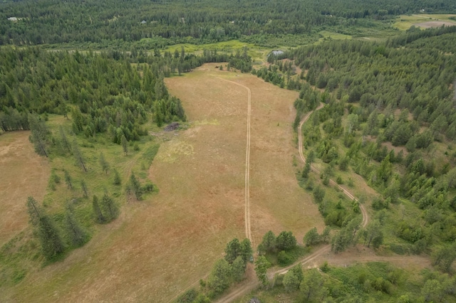 4110 Cemetery Rd, Springdale, WA 99137