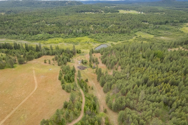 4110 Cemetery Rd, Springdale, WA 99137