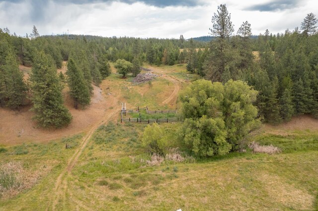 4110 Cemetery Rd, Springdale, WA 99137