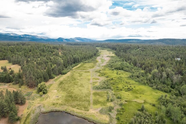4110 Cemetery Rd, Springdale, WA 99137