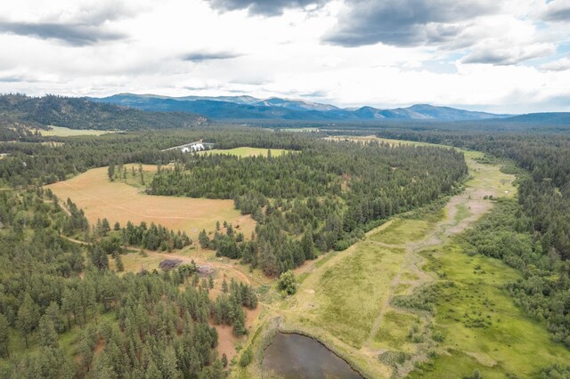4110 Cemetery Rd, Springdale, WA 99137