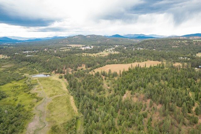 4110 Cemetery Rd, Springdale, WA 99137