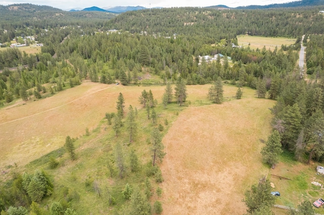 4110 Cemetery Rd, Springdale, WA 99137