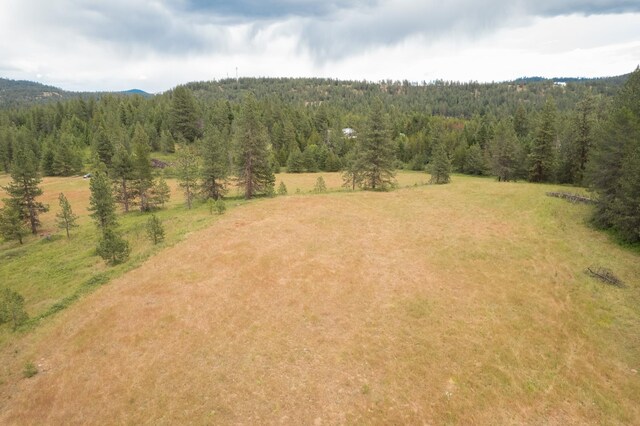 4110 Cemetery Rd, Springdale, WA 99137