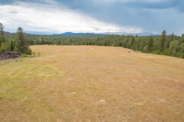 4110 Cemetery Rd, Springdale, WA 99137