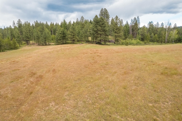 4110 Cemetery Rd, Springdale, WA 99137