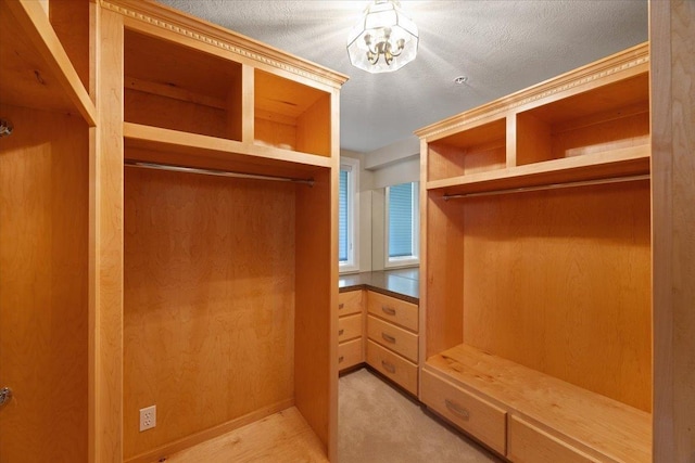 walk in closet with light colored carpet