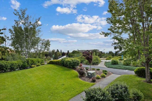 view of property's community featuring a lawn