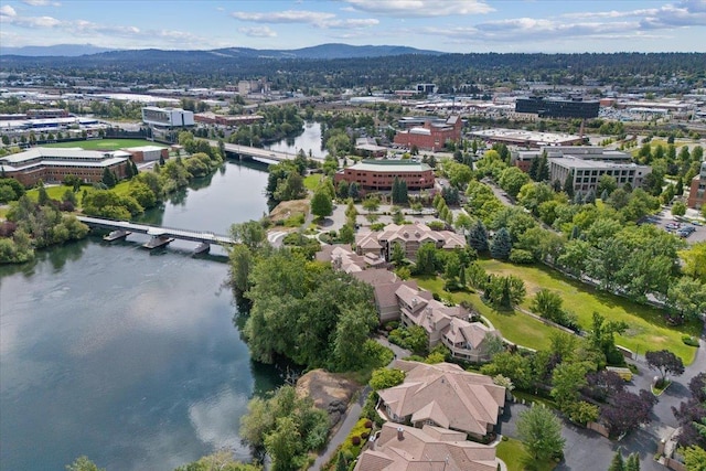 birds eye view of property featuring a water and mountain view