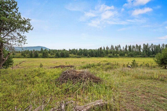 455 Juneberry Ln, Priest River, ID 83856 - photo 39