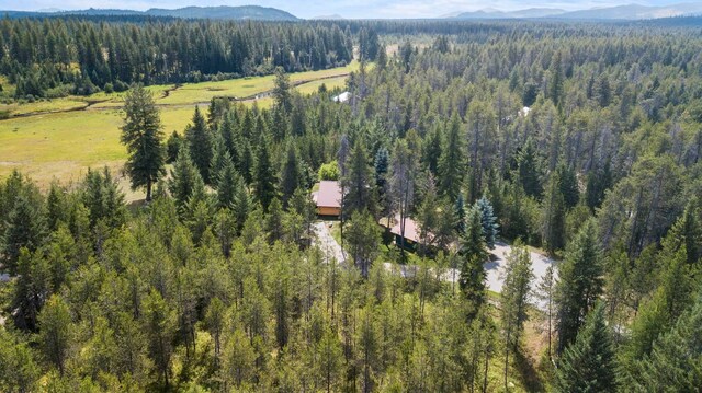 455 Juneberry Ln, Priest River, ID 83856 - photo 43