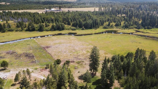 455 Juneberry Ln, Priest River, ID 83856 - photo 46
