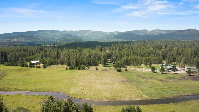 455 Juneberry Ln, Priest River, ID 83856 - photo 47