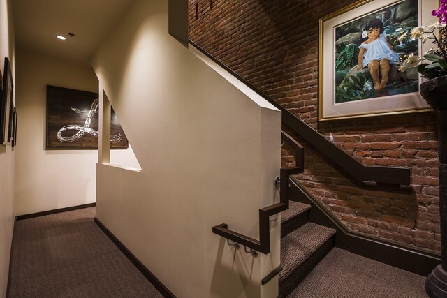 stairway featuring carpet floors