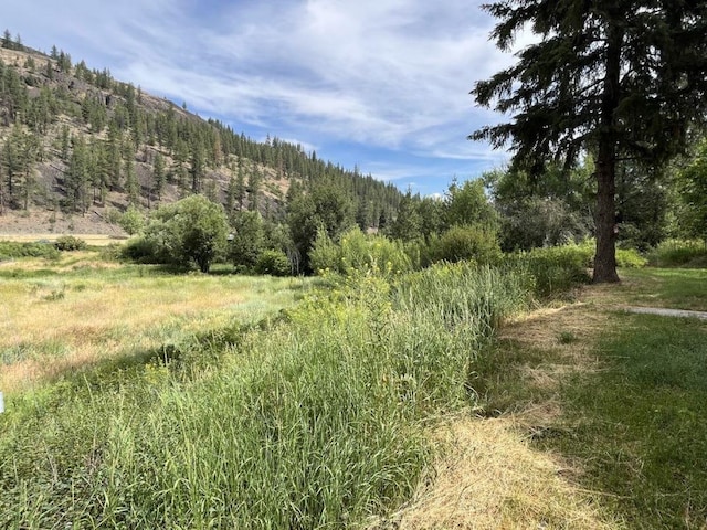 view of local wilderness